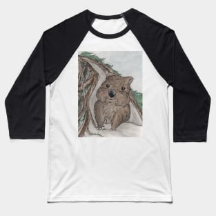 Curious Wombat Baseball T-Shirt